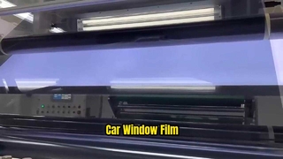 Originele fabrieksautoruittint